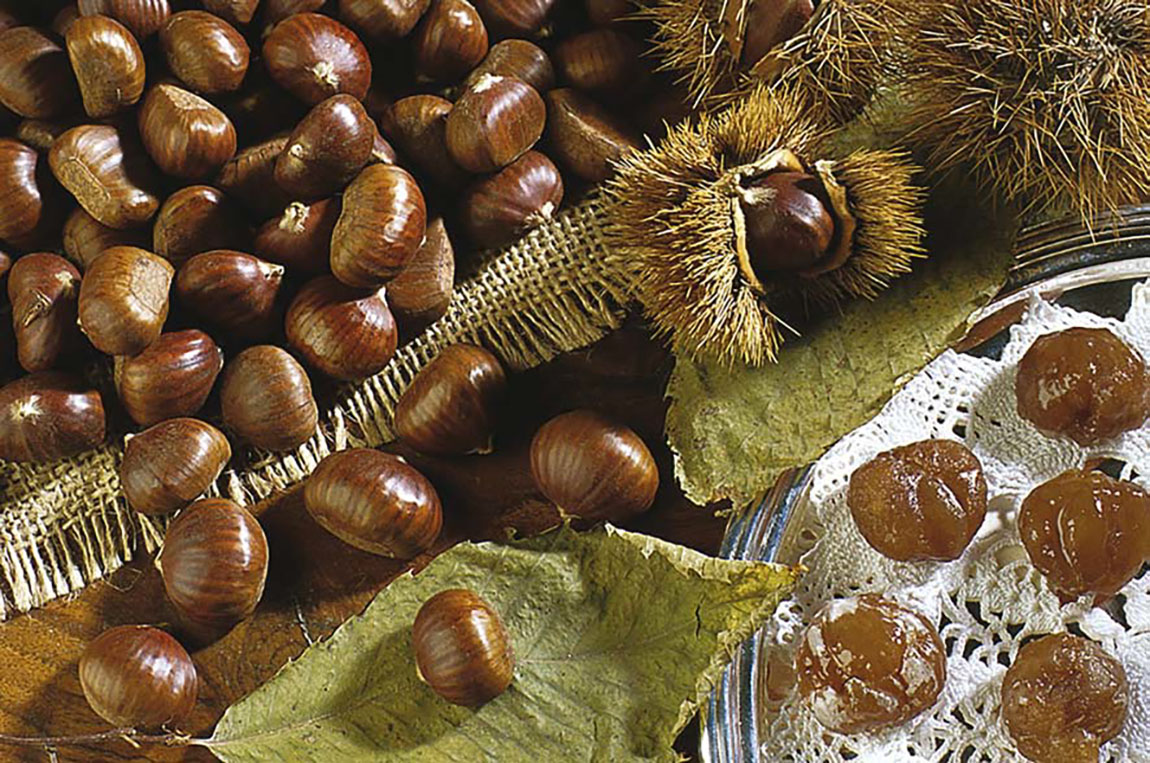 Marroni e marron glacés